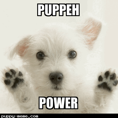 puppy power