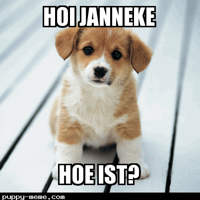 Hoi Janneke