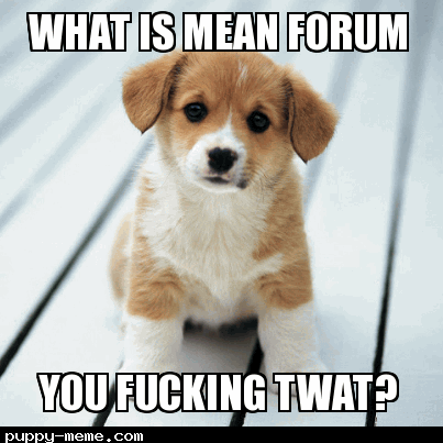 what is mean forum