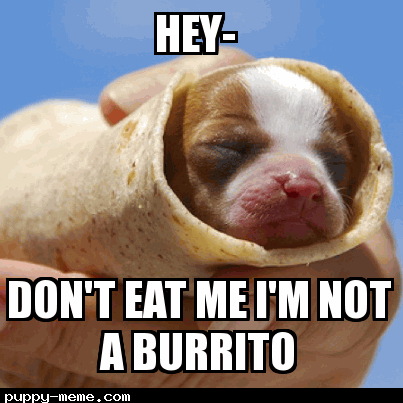 burrito dog