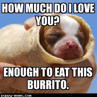 puppy-burrito