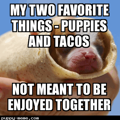 Puppy Taco
