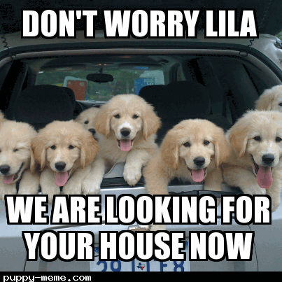 We Want Lila