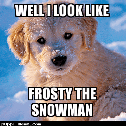Frosty the puppy