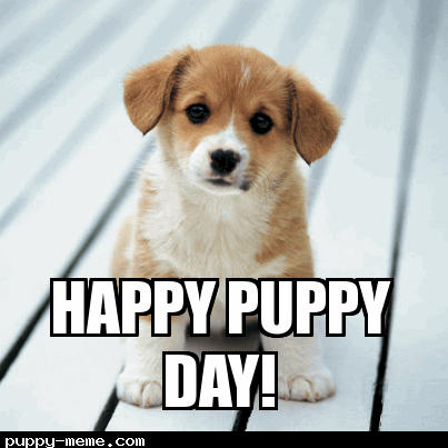Puppy Day