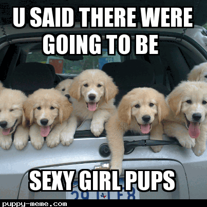 puppy babes