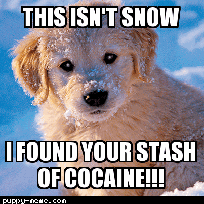 Doggie cocaine
