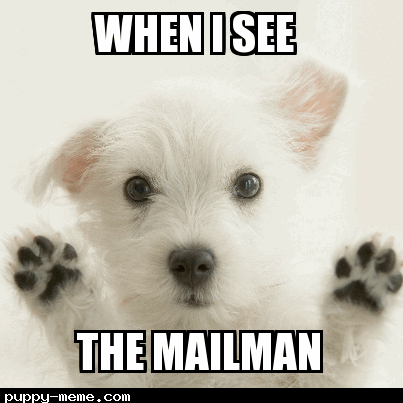 The mailman