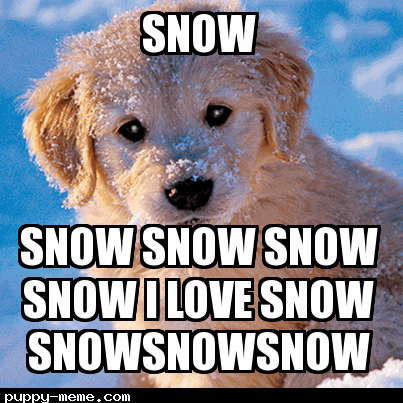 snow pup
