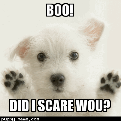Scary pup