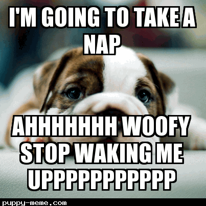 Stop waking me up