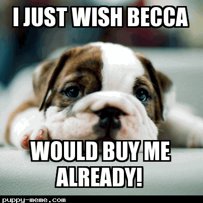 Becca's Baby