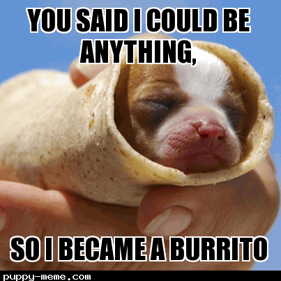 Burrito puppy