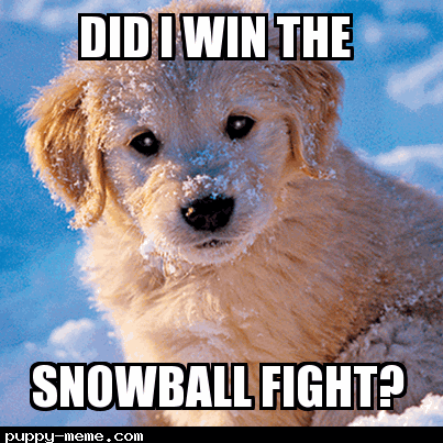 SnowBall Fight