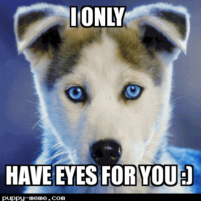 I only have eyes for you