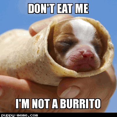 I am not a burrito man
