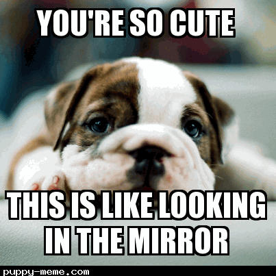 Cute mirror