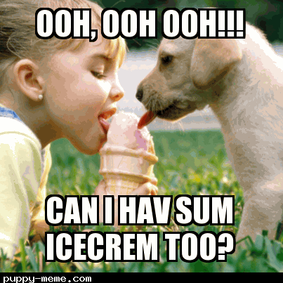 Puppy wanting icecream TOO