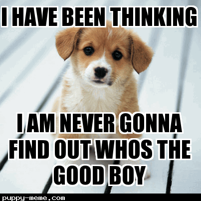 Puppy Meme Template 001