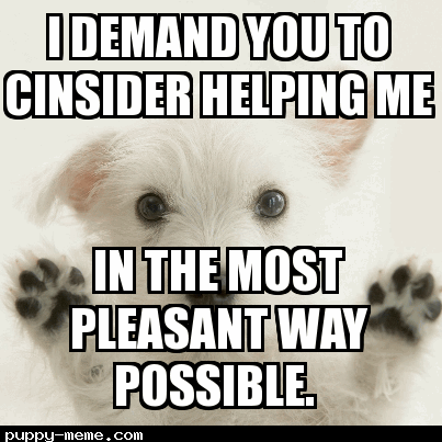 I demand you to cinsider helping me