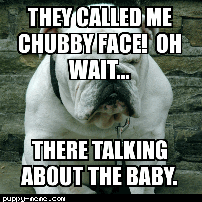 Babies are chubby.