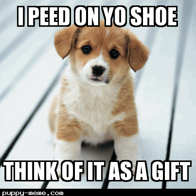 a gift from dogs