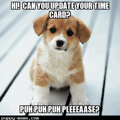 Cute Puppy Time Card
