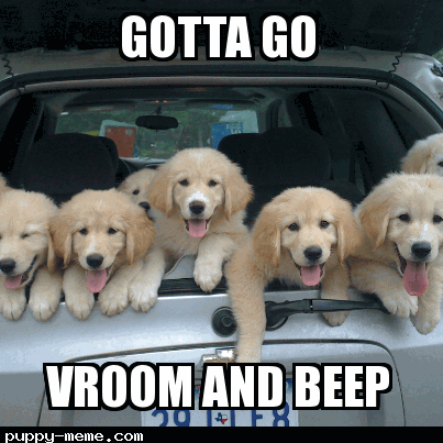 car pups