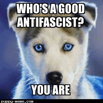 Antifa Pup