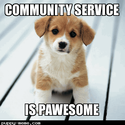 Community Service Slide