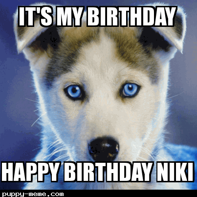 Nikis birthday