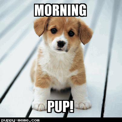 Morning Pup!