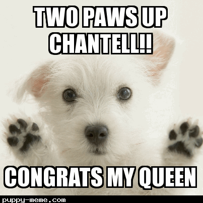 Congrats puppy