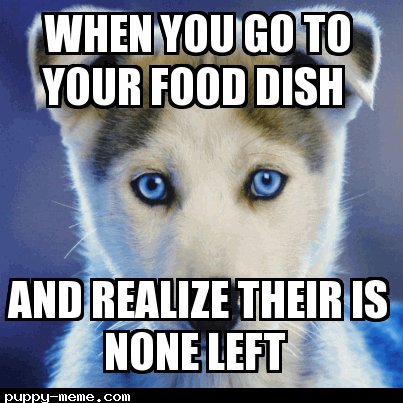 no food