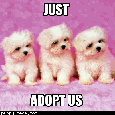 Just Adopt Us
