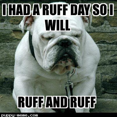 Ruff day