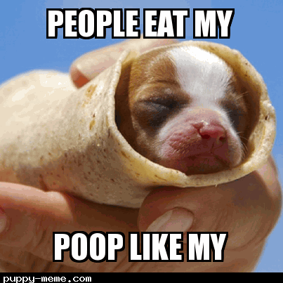 eat poop