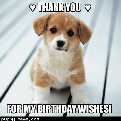 Thank You For my Birthday Wishes Puppy