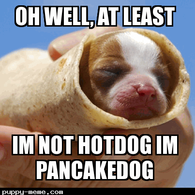 HotDog Or PancakeDog
