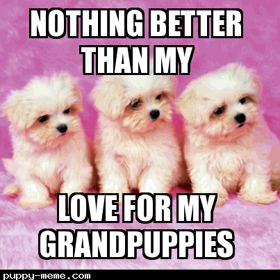 Grandpuppies