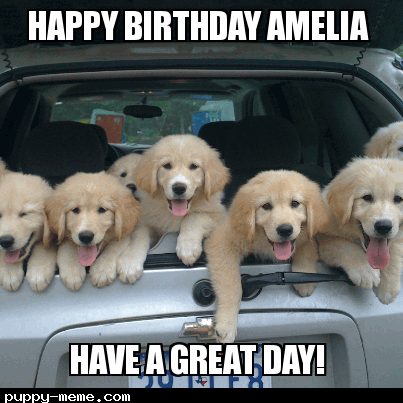 happy birthday amelia!