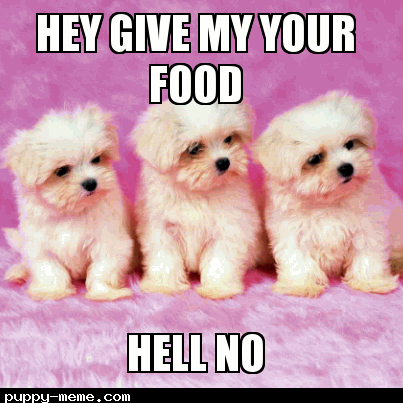 what you have food?
