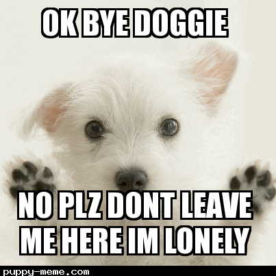 dont leave