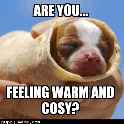 Are you feeling warm and cosy?