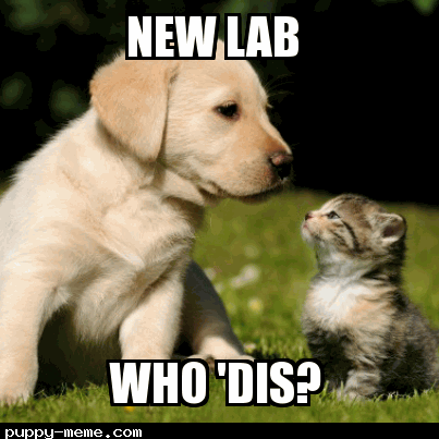 New Lab