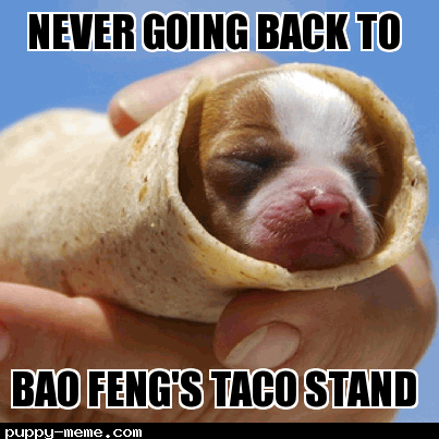 Puppy taco