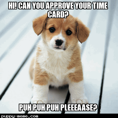 Time Card Pup