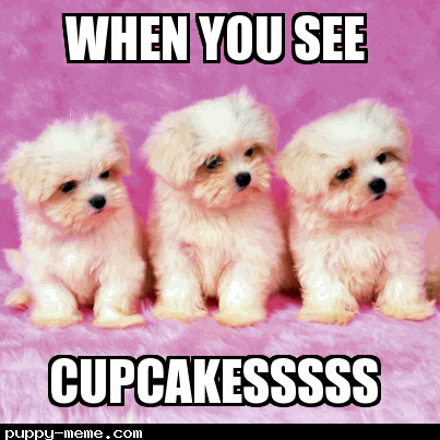 Cupcakesssss