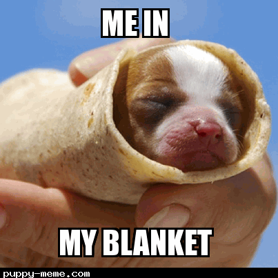 Puppy Burrito