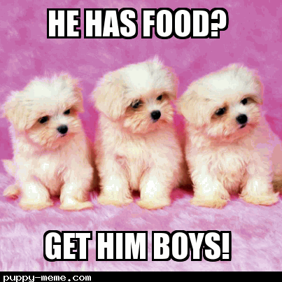 He has food?